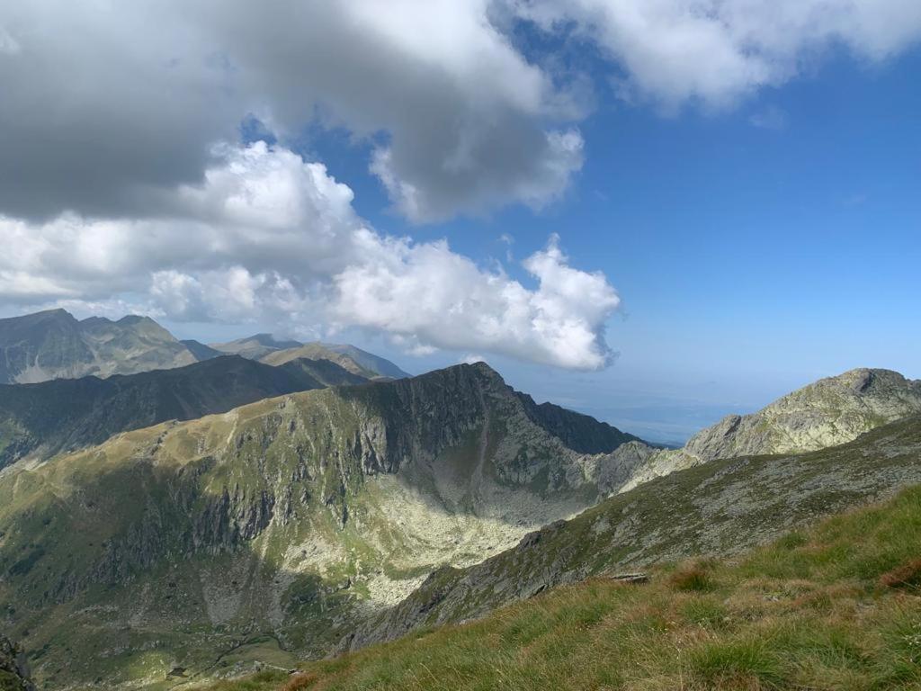 شقة Cîrţişoara  في Casa Oaspeti Transfagarasan المظهر الخارجي الصورة