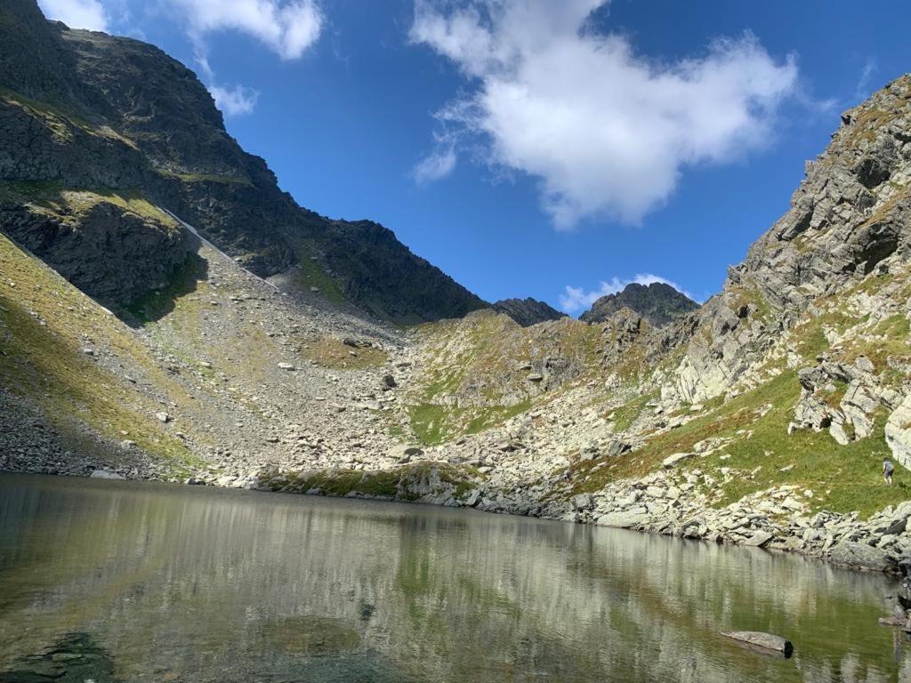 شقة Cîrţişoara  في Casa Oaspeti Transfagarasan المظهر الخارجي الصورة