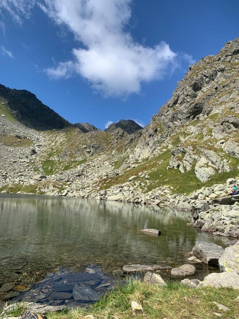 شقة Cîrţişoara  في Casa Oaspeti Transfagarasan المظهر الخارجي الصورة