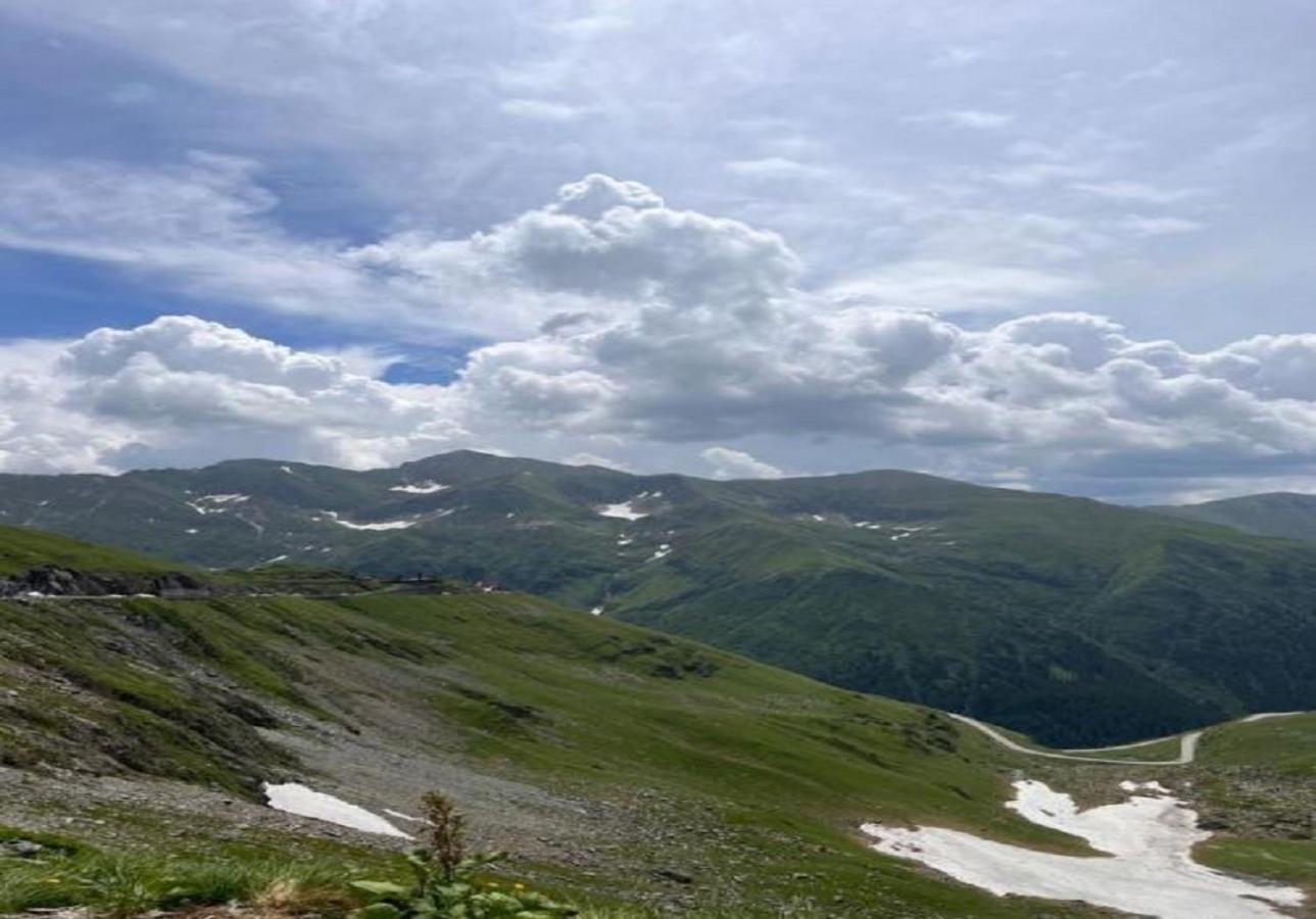 شقة Cîrţişoara  في Casa Oaspeti Transfagarasan المظهر الخارجي الصورة